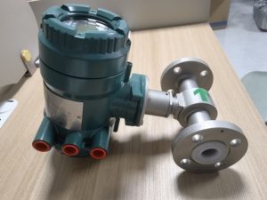 Yokogawa เครื่องวัดการไหลของแม่เหล็กไฟฟ้ารุ่น Axg AXG015-AXG250วัสดุ SS304/SS316ความแม่นยำใน0.500% 4-20mA/RS485เอาต์พุต OEM - Product Image 4