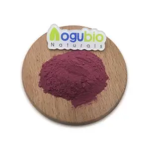 Supply Pure Bulk Organic Beetroot Extract Powder 99% Natural Beetroot Powder