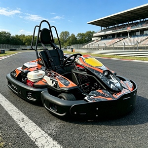 Premium Quality Cheap <strong>Used</strong> Go <strong>Karts</strong> Sale with Stable Chassis off Road Go <strong>Karts</strong> for <strong>Adults</strong> with Drift for Park Business - Product Image 2