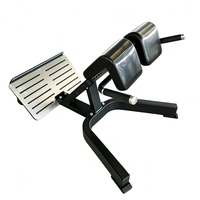 Banc d'hyperextension à 45 degrés pour salle de sport commerciale, banc d'extension dorsale pour l'entraînement des lombaires, des fessiers et des ischio-jambiers, équipement de fitness