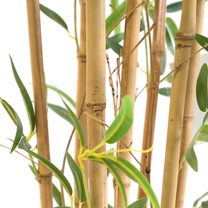 Vente en gros de plantes de <span class=keywords><strong>bambou</strong></span> porte-bonheur géantes réalistes avec pot, 160 cm, grande décoration d'intérieur, arbre de <span class=keywords><strong>bambou</strong></span> artificiel - Product Image 4