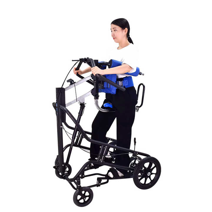 Mobile Training Rack - Assisted Standing and Gait Training