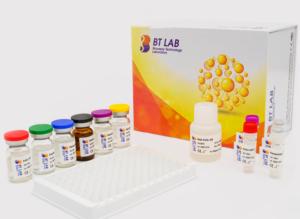 Peptide comme un glucagon humain 1, kit d'E0022Hu de GLP1 ELISA - Product Image 6