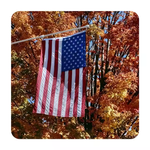 <span class=keywords><strong>Bandera</strong></span> Estadounidense Bordada Personalizada, <span class=keywords><strong>Bandera</strong></span> Estadounidense para Elecciones de 3 x 5 Pies - Product Image 5