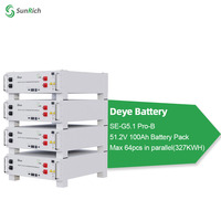 Batería de Litio Deye 51.2V 100ah 5kwh, Batería de Litio Deye Certificada para Montaje en Pared