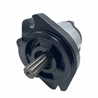 Pompe à engrenages à haute pression Zhengquan CBN2-F312 TRYY à 10 cannelures, en fonte noire, pour dosage, résistante à la corrosion, usinage hydraulique