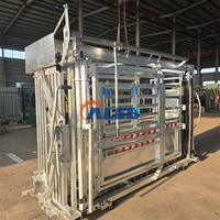 Machine mobile de haute qualité pour la coupe des sabots de bétail, avec étrier hydraulique galvanisé à chaud