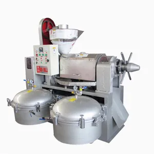 Hot Selling Cold Press 300kg/h Rapeseed Soybean Oil Press Machine Price