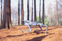 Robot chien quadrupède compact et léger Unitrees AS2 AS2-W, robot hybride à roues pour la recherche scientifique en laboratoire