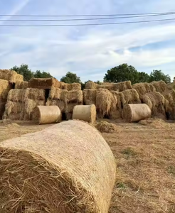 Red de envoltura de pacas biodegradable de HDPE personalizable para agricultura Red de envoltura de red HDPE Agricultura <span class=keywords><strong>Hay</strong></span> Baler <span class=keywords><strong>Net</strong></span> <span class=keywords><strong>Wrap</strong></span> - Product Image 2