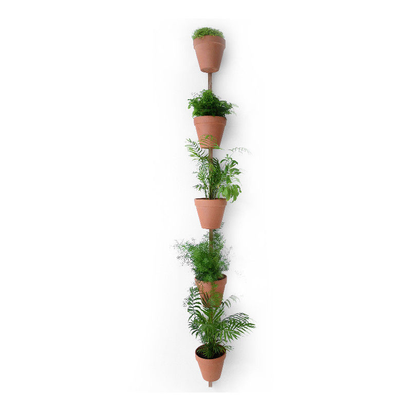 Cintre 5 pots, 250cm de long