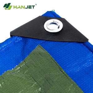 100-120 gsm <span class=keywords><strong>pe</strong></span>-plane blatt und rolle, alle größen und farben zur abdeckung verfügbar - Product Image 6