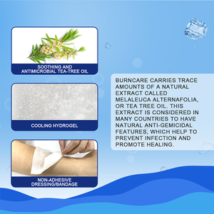 ผู้ผลิตคาร์บูที่เพิ่มขึ้นการผ่าตัดปิดแผลฆ่าเชื้อการดูแลการเผาไหม้ทางการแพทย์ขั้นพื้นฐานชุดเครื่องแป้งธรรมชาติสําหรับแพ็ค - Product Image 5