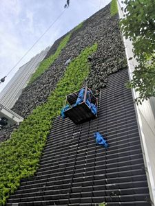 Vertical Garden PP <b>Plastic</b> Vertical Garden Green Wall <b>planters</b> Flower Wall Plant Pots Self-Watering Drainage Hole Eco-Friendly - Product Image 6