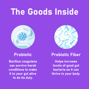 Best Selling Prebiotic Probiotics Gummies Total Carbohydrate Maintain Healthy Gut Function Absorption Function Support Immune - Product Image 4