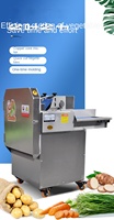 Industriële 220V groentesnijmachine multifunctioneel voor aardappelchips, fruit, raspen, kern, motor, groenteverwerkingsinstallatie