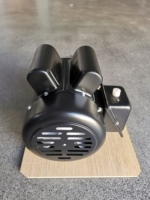 Moteur électrique WAYLEAD série TEFC monophasé 1,1 kW 1,5 CV 115/230 V 60 Hz à bride C 3500 tr/min asynchrone CA Garantie 12 mois