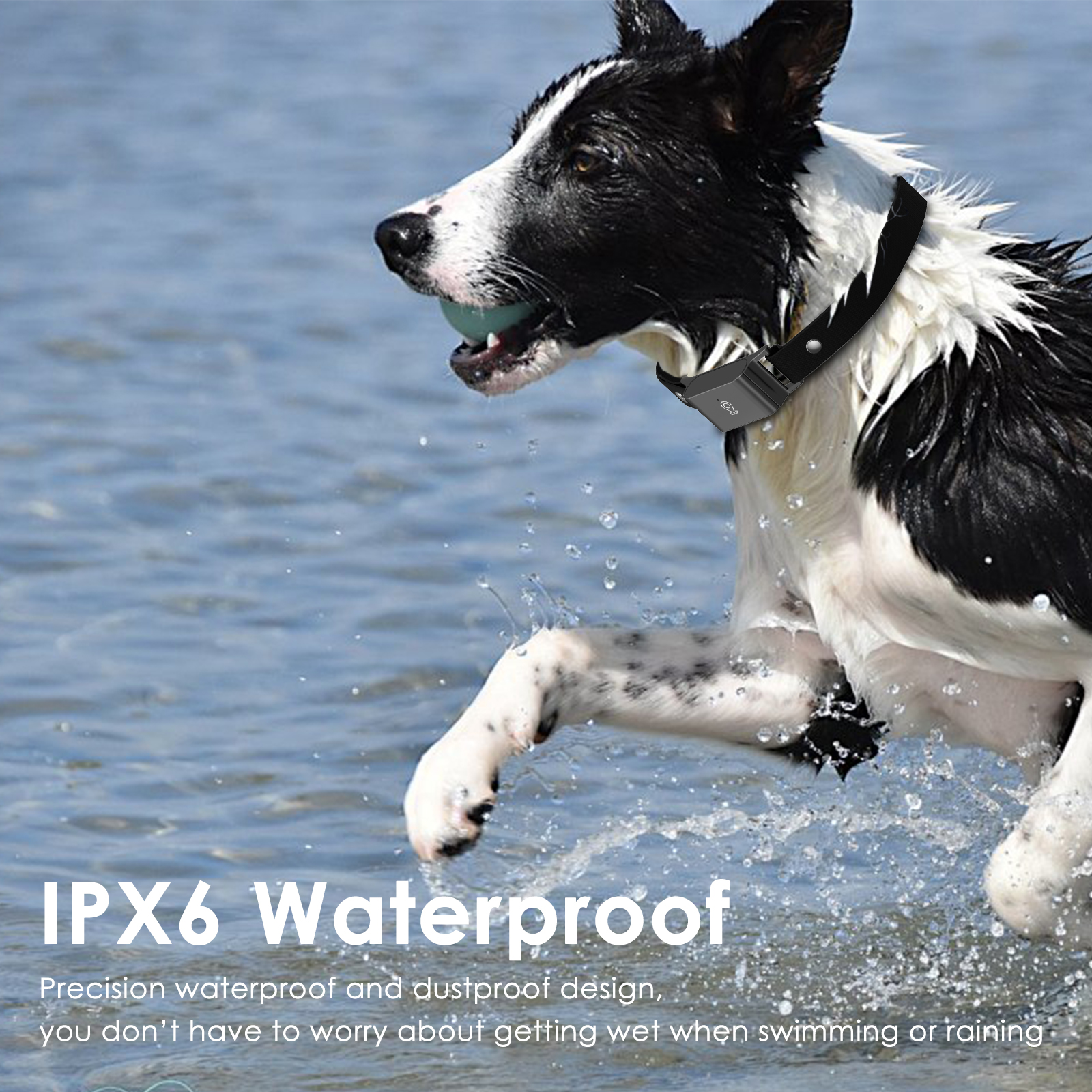 Petbaby C09 4G GPS Pet Tracker - Real-Time Location Waterproof Dog Collar