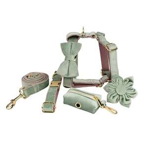 व्यक्तिगत लक्जरी टिकाऊ मखमली कुत्ते का उपयोग करते हुए पट्टा सेट नरम ठोस पैटर्न पालतू कुत्ते का कॉलर आंटाई और पोप बैग डिस्पेंसर - Product Image 4