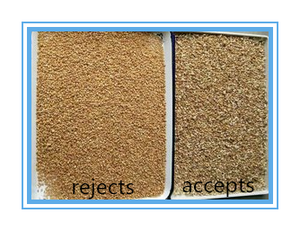 WENYAO Trieuse optique CCD de grains et de céréales à 8 canaux, 512 voies, 8t/h, avec un excellent rapport qualité-prix - Product Image 5