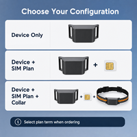Collier de suivi GPS 4G intelligent pour animaux de compagnie, étanche IP65, en nylon et plastique, pour chiens et chats, avec stockage cloud, compatible multi-OS, vente en gros