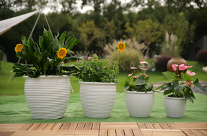 Maceta de Cerámica Transpirable Anti-Carillón, Redonda, Blanca Brillante, para Decoración Interior y Exterior - Product Image 6