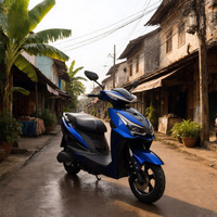 Sepeda Motor Listrik Dewasa 2 Roda CKD EEC 10/12 inci, Motor Listrik China 600/800W Kecepatan 50km/jam, Moped Listrik Pabrik China