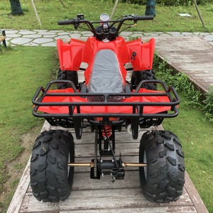 <span class=keywords><strong>Quad</strong></span> chinois 125cc pour adultes, vente flash, avec certification CE - Product Image 6