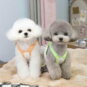 Gonna Estiva Stile Principessa Floreale <span class=keywords><strong>per</strong></span> Cuccioli e Coniglietti, <span class=keywords><strong>Abbigliamento</strong></span> Carino in Poliestere Stampato <span class=keywords><strong>per</strong></span> Proprietari di Cani e <span class=keywords><strong>Conigli</strong></span> Teddy Bixu 25+ - Product Image 2