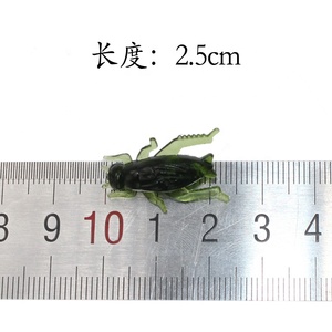2,1 cm/0,7g Venta al por mayor <span class=keywords><strong>Cricket</strong></span> Insect Bad - Product Image 3