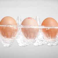 Plateaux à œufs transparents en plastique PET blister jetables bon marché marque TALY pour œufs frais fermes et supermarchés