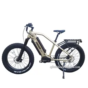 26 ''* 4.8 Hardtail 1000w मध्य ड्राइव वसा पहाड़ Ebike दोहरी 48V 17.5Ah लिथियम बैटरी ई-साइकिल लंबी रेंज इलेक्ट्रिक हाइब्रिड बाइक