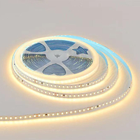 Bande LED CE en gros de l'usine Woojong, 220V SMD2835 Blanc 10mm, Contrôleur RoHS, Décoration paysagère