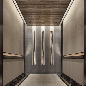 Ascensor de pasajeros moderno de acero inoxidable con cabina de vidrio para uso doméstico, accionamiento por tracción, 380V, diseño sin engranajes - Product Image 2
