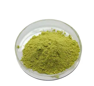 Best Prices Organic 98% Icaritin Epimedium Extract Powder