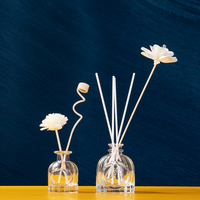 Vente en gros Flacon vide de 40ml 50ml avec bouchon en verre pour diffuseur d'arôme de parfum de luxe