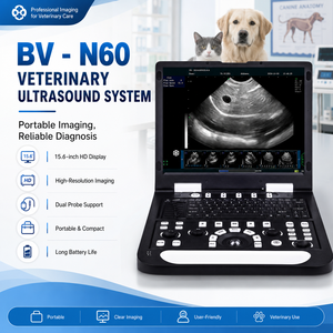 Máquina <span class=keywords><strong>de</strong></span> Ultrasonido Veterinaria con Pantalla HD <span class=keywords><strong>de</strong></span> 15.6 Pulgadas con Certificación CE, Escáner <span class=keywords><strong>de</strong></span> Ultrasonido Portátil para Animales BV N60, <span class=keywords><strong>Precio</strong></span> <span class=keywords><strong>de</strong></span> Fábrica - Product Image 1