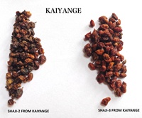 KAIYANGE Vente en gros CHINOIS HERBES ARGOUSIER SÉCHÉ FRUIT SHAJI THÉ AUX FRUITS