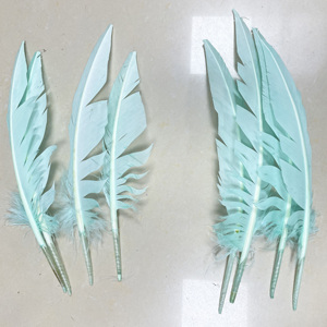 Plumes de plume de dinde teintées du fournisseur d'<span class=keywords><strong>accessoires</strong></span> de carnaval pour les plumes de chapellerie de Costumes dans des formes de nombre - Product Image 5