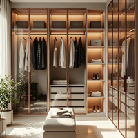 BALOM Dressing de Luxe en Verre, Armoire Intégrée, Combinaison Bois-Verre, Tiroirs à Fermeture Douce, Éclairage LED, Personnalisable, OEM, Vente en Gros