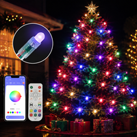 Guirlande lumineuse LED RGB 12 mm WS2811 adressable, étanche IP67, pour éclairage de Noël et de festivals en bâtiment
