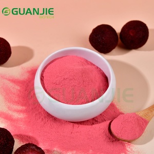 Bubuk Bayberry 100% Alami Ekstrak Buah Bayberry Berkualitas Premium - Product Image 1