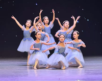 Robe de tutu de ballet classique bleue à épaules dénudées pour filles, avec garniture décorative, en tulle superposé, costume de scène professionnel pour enfants
