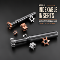 Fraise à rainurer indexable pour acier inoxydable, plaquettes AlTiN, outil de rainurage CNC, fraise à rainurer modulaire
