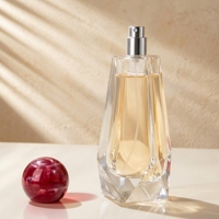 Flacon de parfum carré transparent mat de qualité supérieure, luxueux, en ambre, anti-fuite, rechargeable, 100 ml, vintage