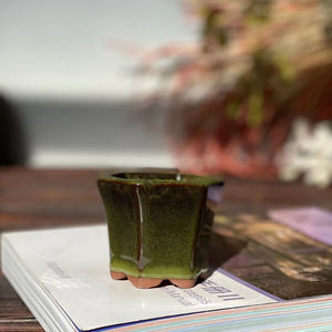 Mini pot de plantes succulentes pour décoration de jardin, vente en gros, avec trou de Drainage - Product Image 4