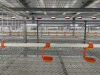 Fermes avicoles cage automatique pour poulets de chair d'élevage en batterie de type h