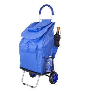 Carrito de Compras Portátil con Ruedas, Cierre de Cremallera, 4 Ruedas de Plástico, Plegable, Asa Ajustable, Venta Directa de Fábrica - Product Image 1