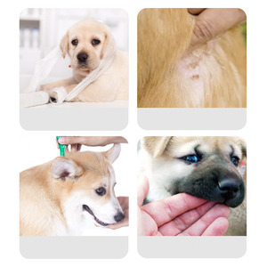 Collar isabelino para gatos, perros grandes, estilo clásico Simple, suave, antiarañazos, antimordeduras, antilesiones, cubierta para lesiones, patrón sólido - Product Image 4