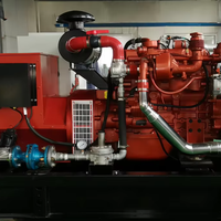Groupe électrogène triphasé 350 kW au biogaz, 437,5 kVA, avec moteur Cummins K19N-G3B pour système de traitement du fumier
